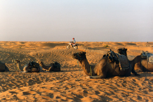 Deserto-Moto